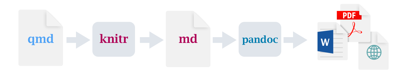 Diagrama de fluxo de trabalho começando com um arquivo qmd, depois knitr, md, pandoc e finalmente PDF, MS Word ou HTML. 